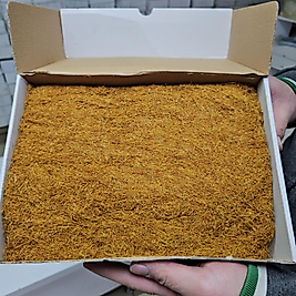 Kultik orta kalite